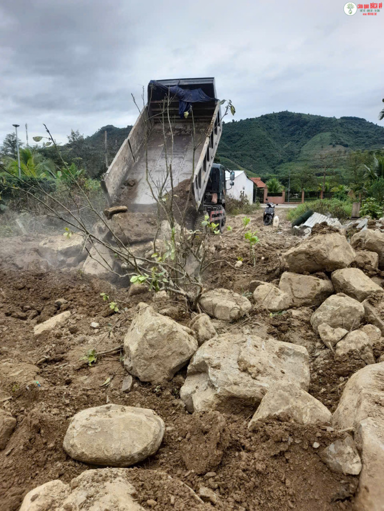 DỊCH VỤ MÚC SAN LẤP MẶT BẰNG