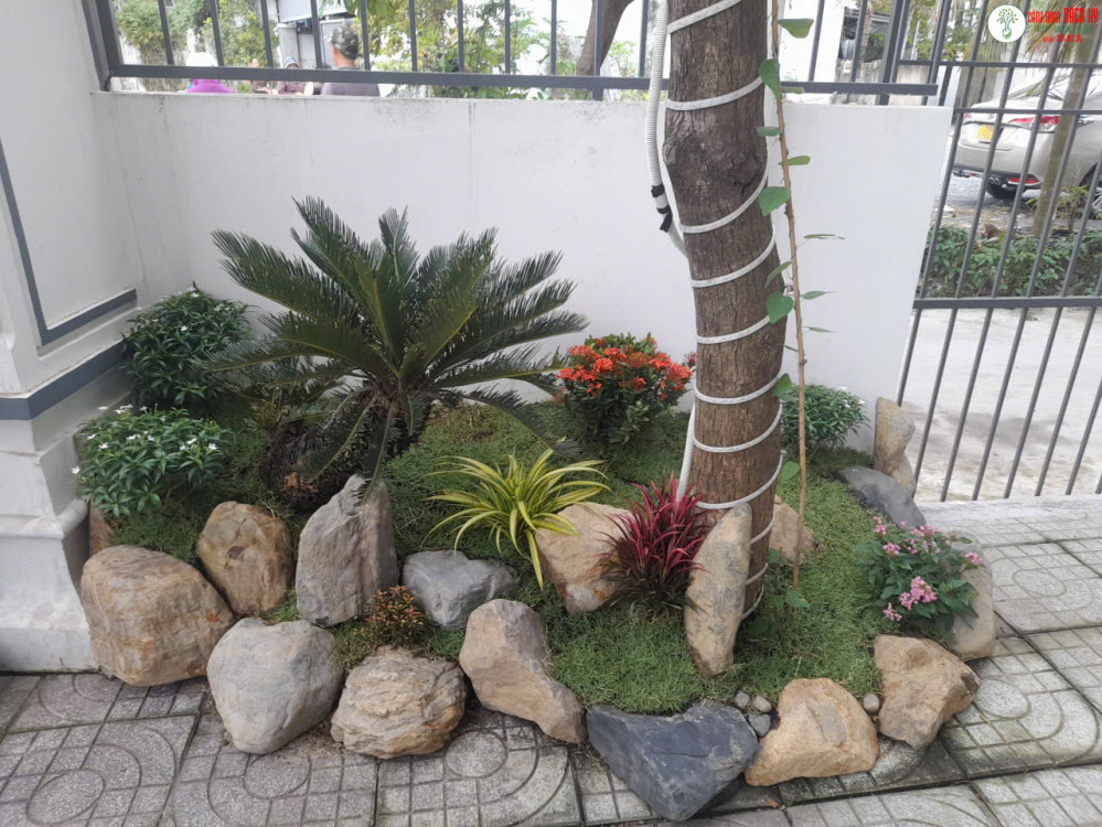 NHÀ DIỆN TÍCH HẸP VẪN CÓ THỂ CÓ MẢNG XANH ĐẸP MÀ KHÔNG BỊ CHẬT