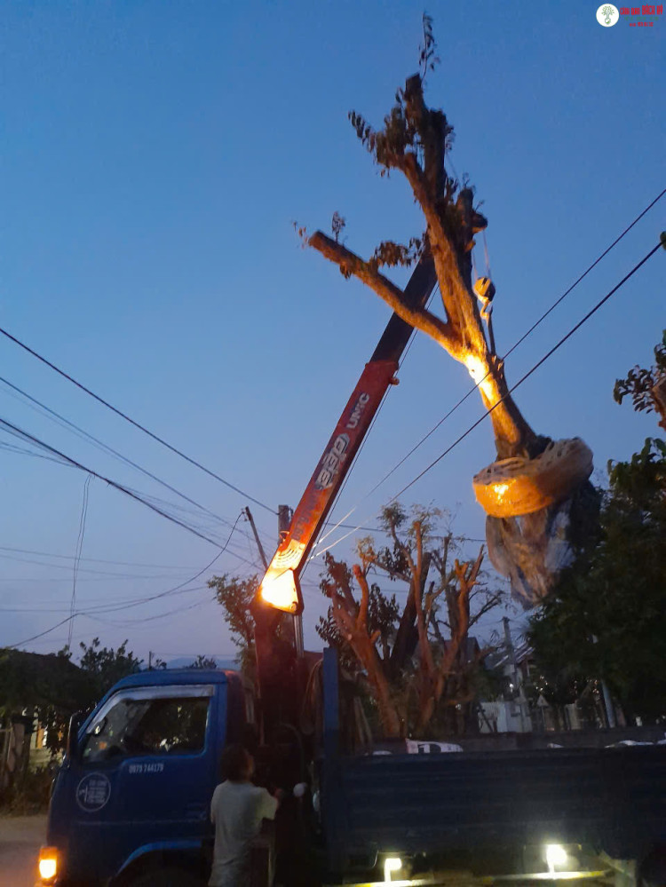 CẨU HÀNG NẶNG, CỒNG KỀNH: KHI NÀO NÊN THUÊ DỊCH VỤ CẨU HÀNG?