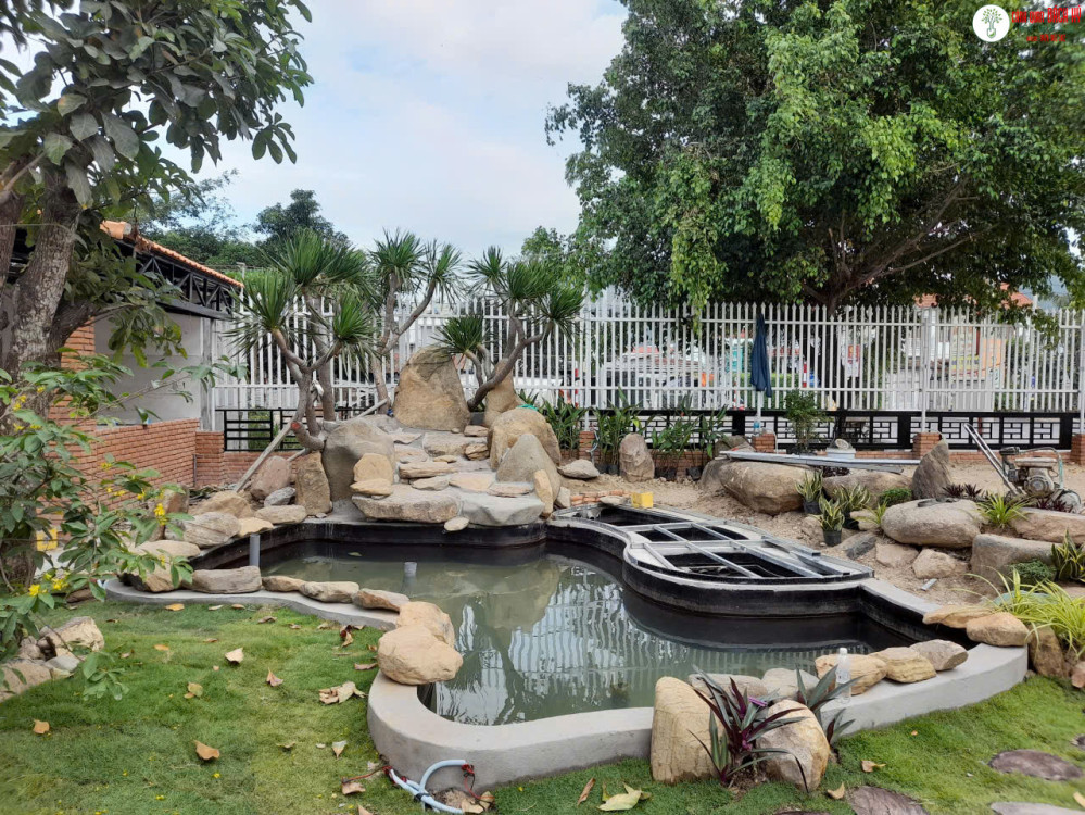 HƯỚNG DẪN VỆ SINH – CHĂM NƯỚC HỒ CÁ KOI CUỐI NĂM – CHUẨN BỊ ĐÓN TẾT