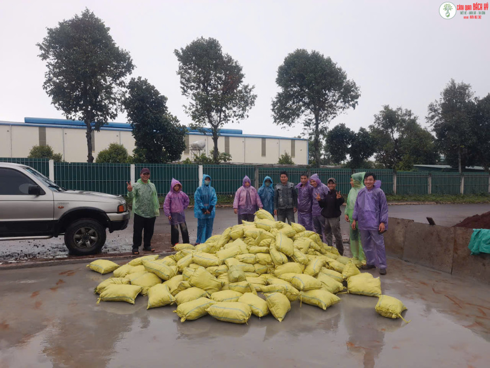 NHỮNG LOẠI PHÂN BÓN HỮU CƠ TỐT CHO CÂY CẢNH – PHÂN BÓN HỮU CƠ CÂY CẢNH BÁCH HỶ