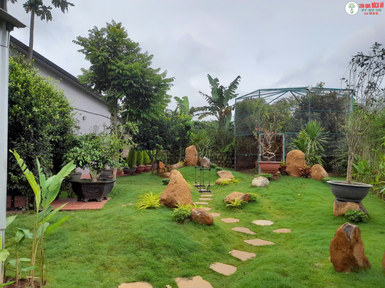 DỊCH VỤ THI CÔNG CẢNH QUAN SÂN VƯỜN