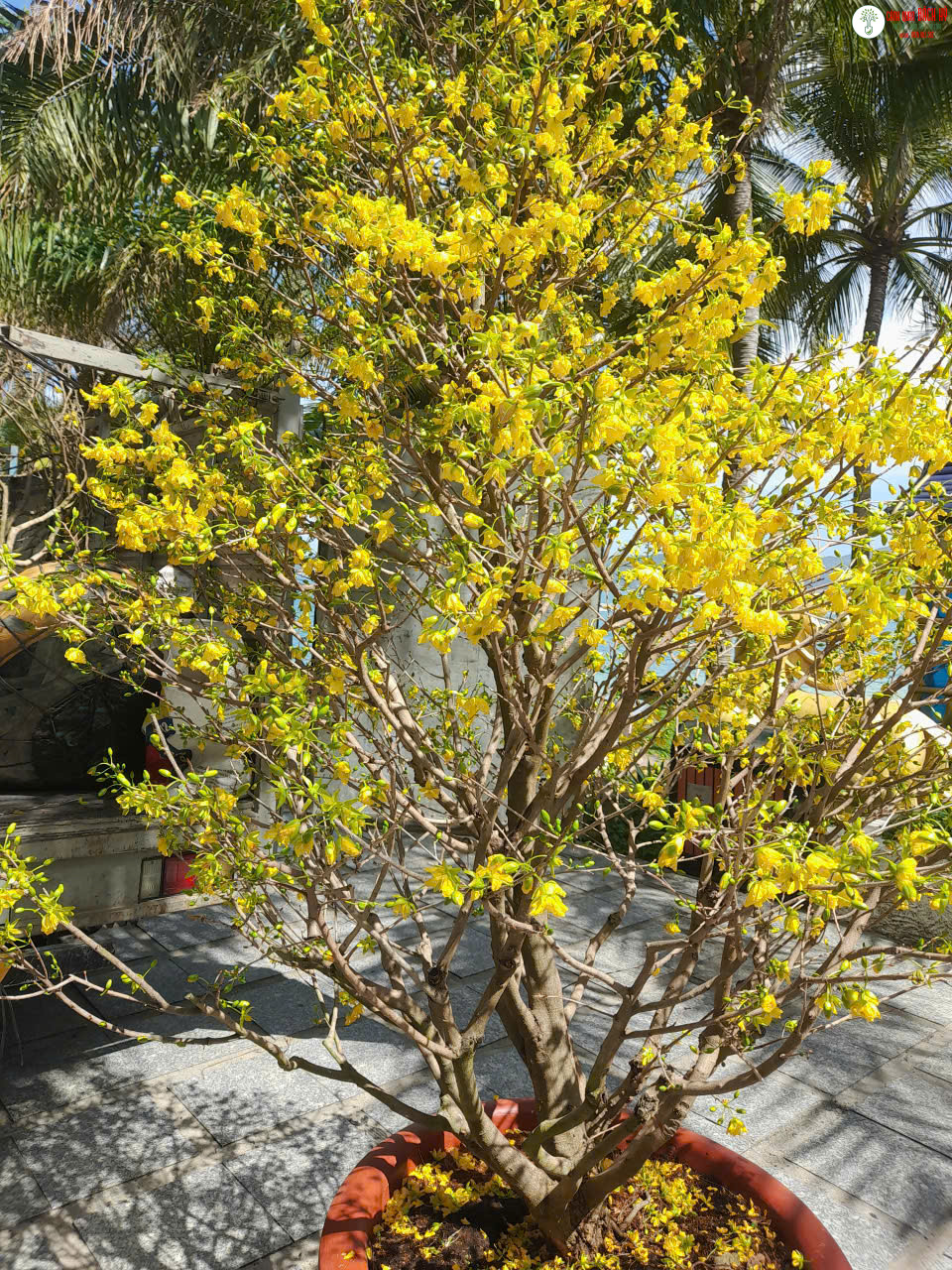 z7027862061443 03ff5fbb922f7c347fb83daedae35792