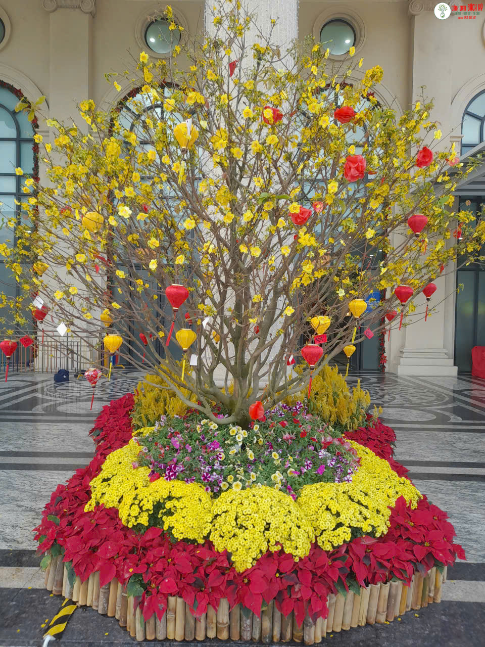 z7027862900705 00be06f4d1dca5b761613f681293473d