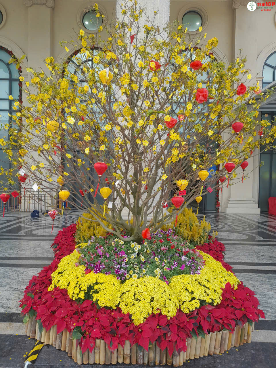 z7027862900705 00be06f4d1dca5b761613f681293473d