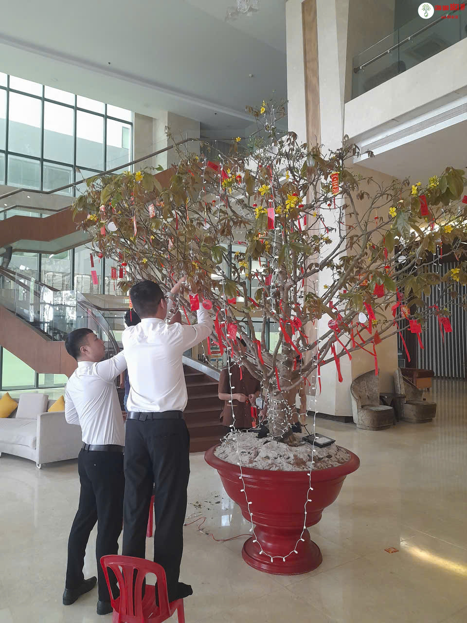 z7027863799357 023e02007ac25730aed4da7e6fa7ff98