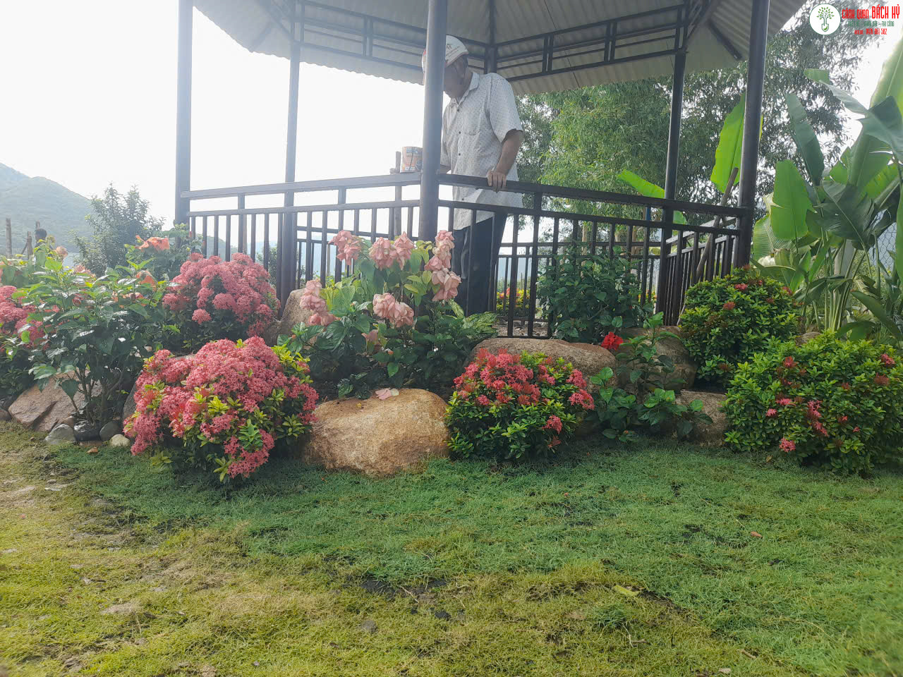 Ý TƯỞNG SÂN VƯỜN NHỎ CHO NHÀ PHỐ HIỆN ĐẠI – SÂN VƯỜN NHÀ PHỐ ĐẸP