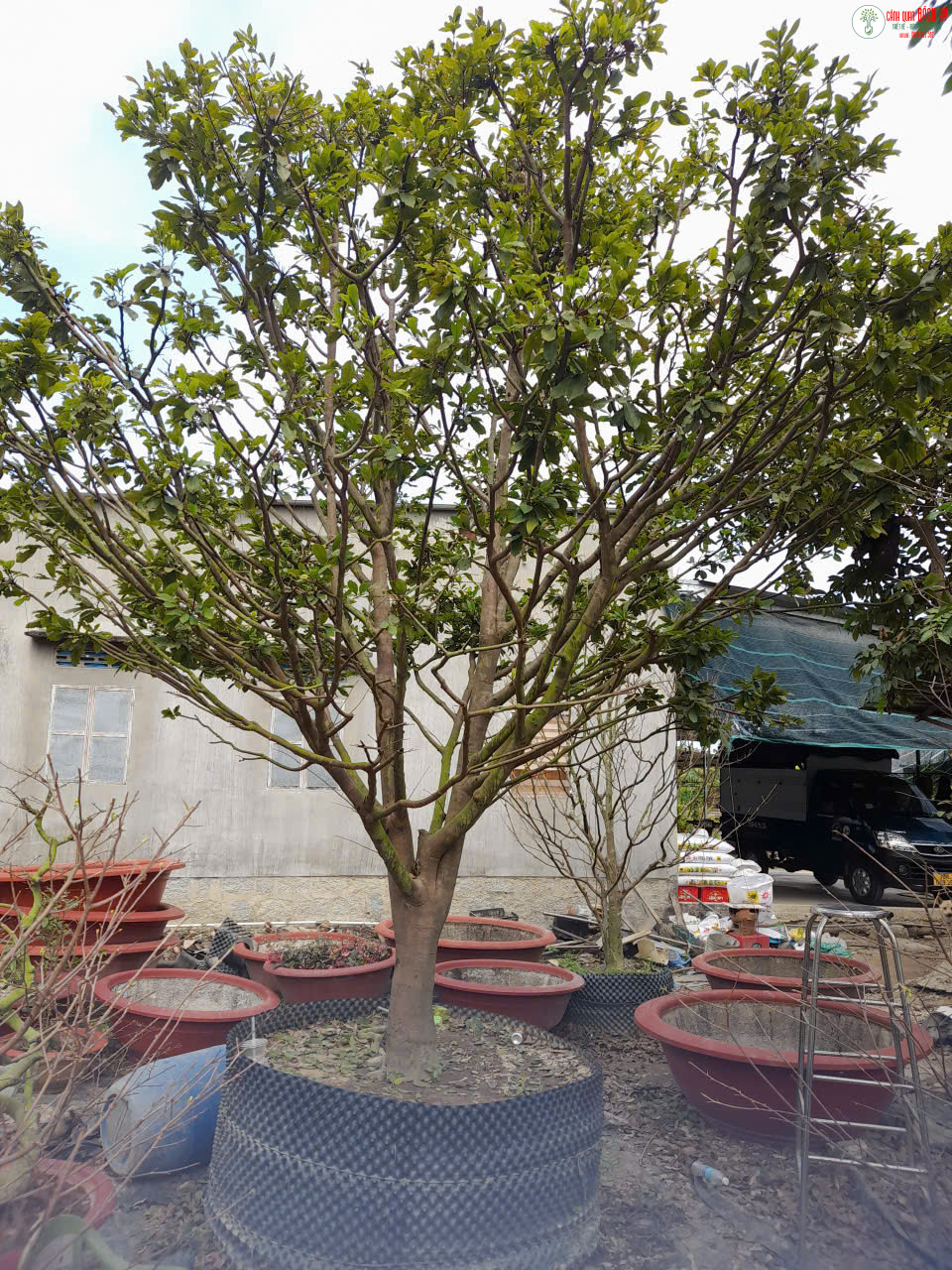 z7027929824176 0c834088e6636e221bfb6a56b41bdb69