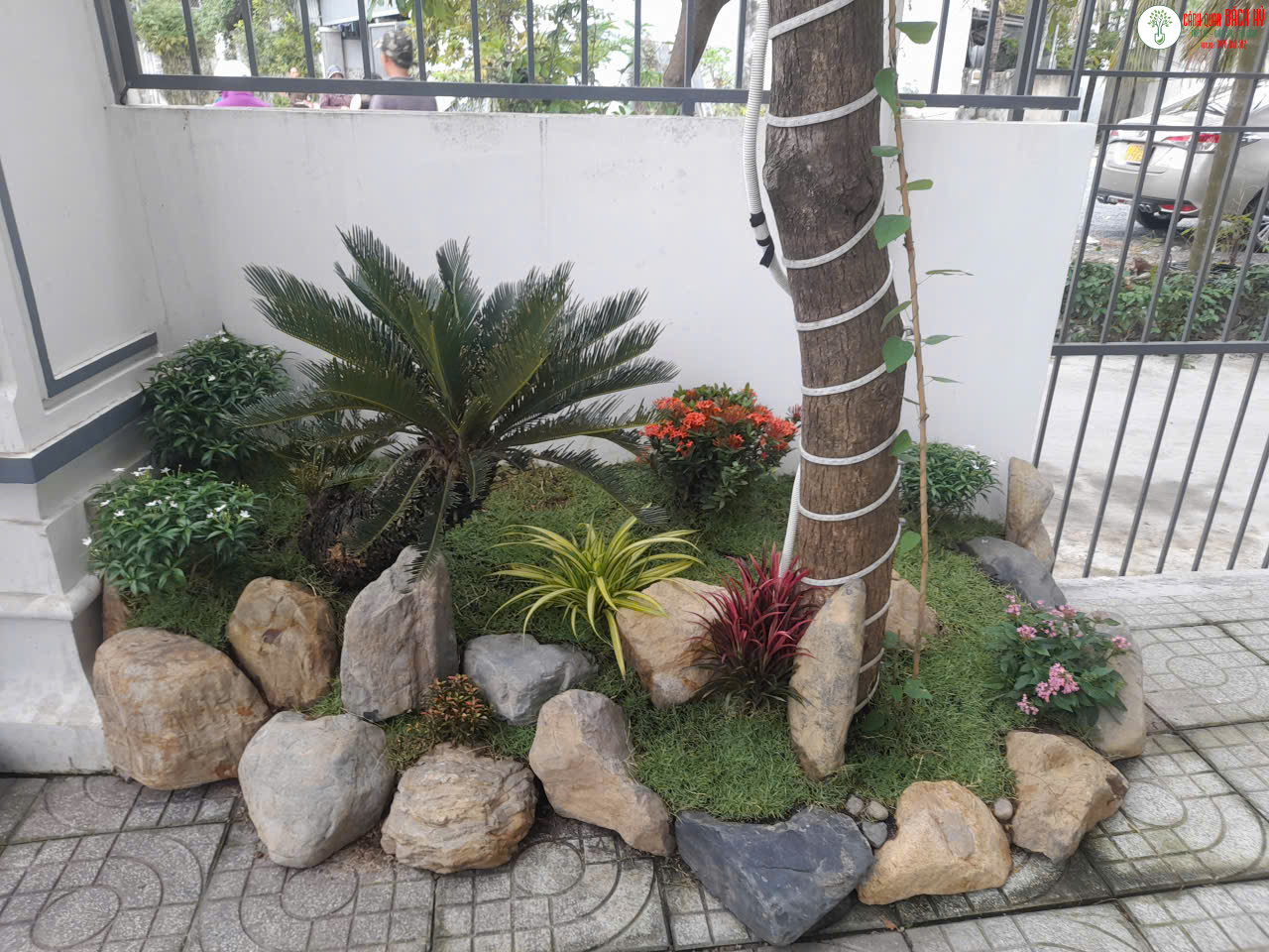 NHÀ DIỆN TÍCH HẸP VẪN CÓ THỂ CÓ MẢNG XANH ĐẸP MÀ KHÔNG BỊ CHẬT