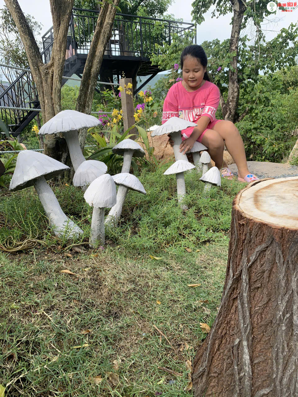 CÁCH CHĂM SÓC CÂY CẢNH KHI THỜI TIẾT NHA TRANG CHUYỂN LẠNH CUỐI NĂM