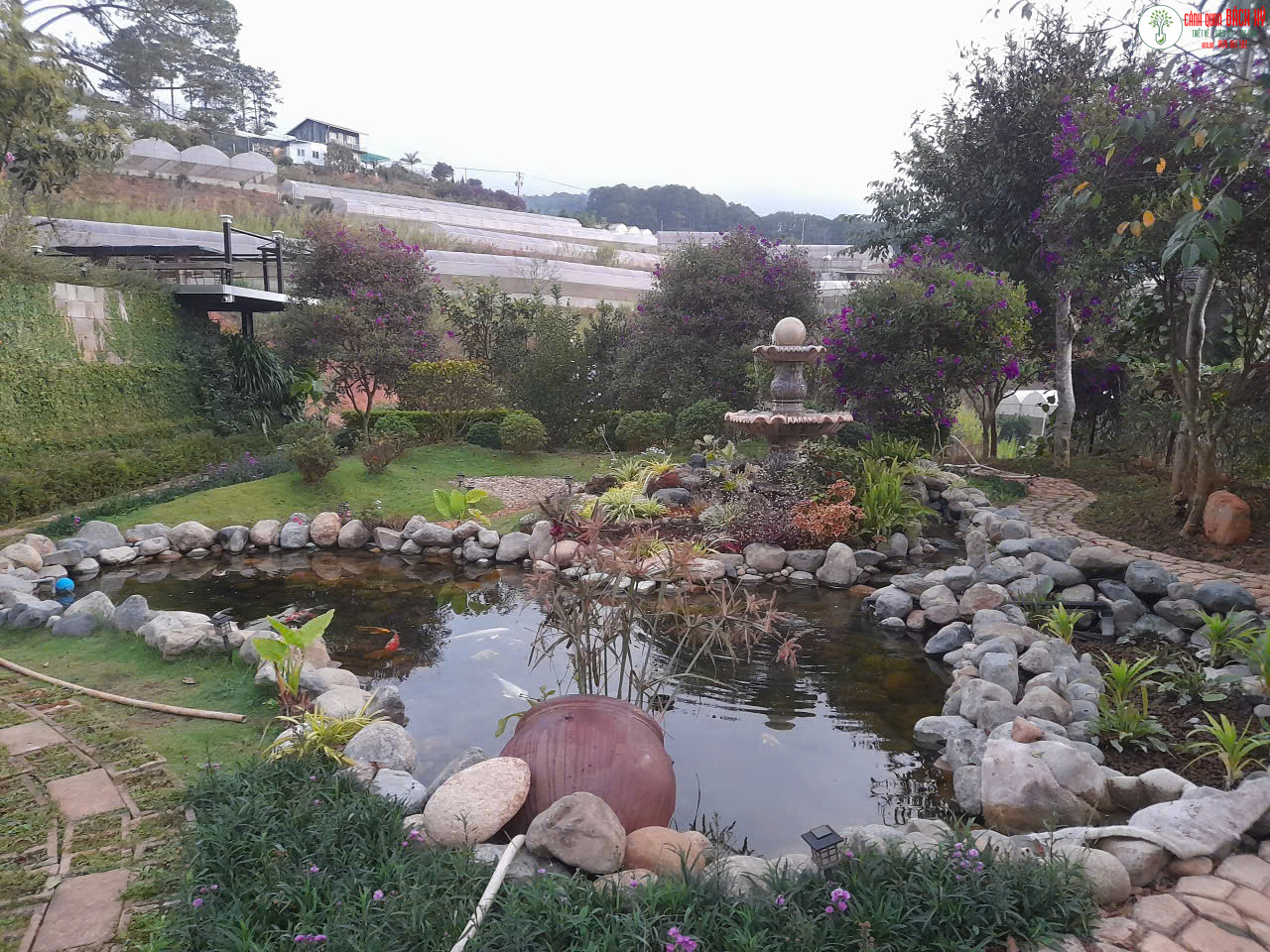 z7028037550974 a8dd721488623be49bebe41cdfce5b41