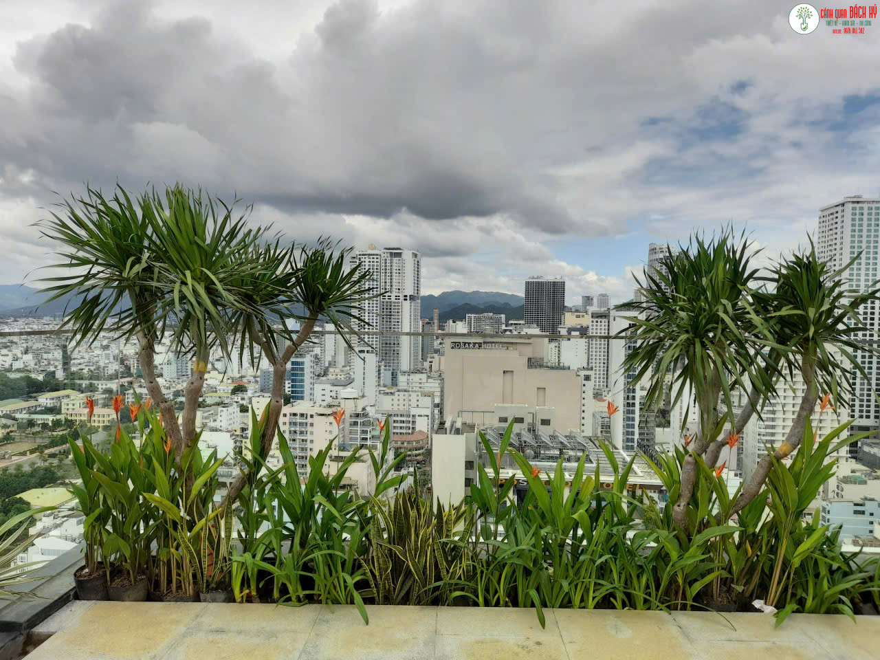 z7028058015651 04f96690af4a55dda48c5e65f0e2605e