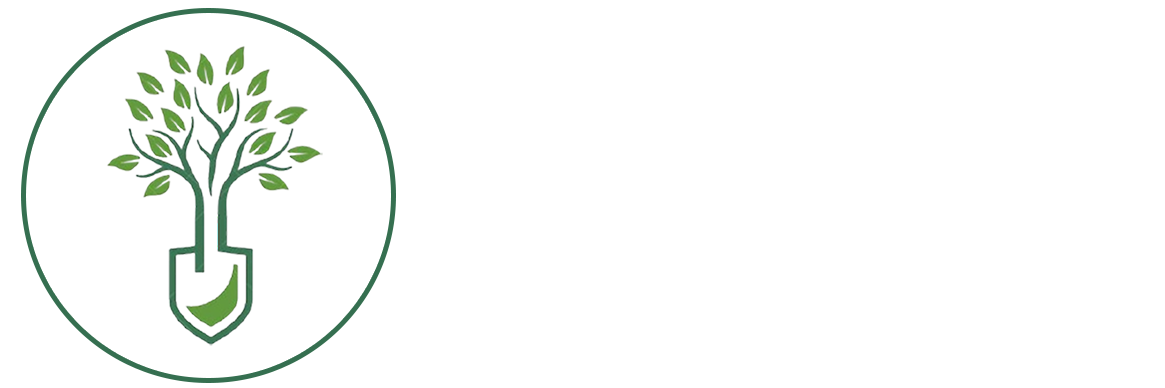 Cây Cảnh Nha Trang | Bách Hỷ – Cửa Hàng Cây Xanh & Phong Thủy Uy Tín